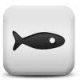 solidfish